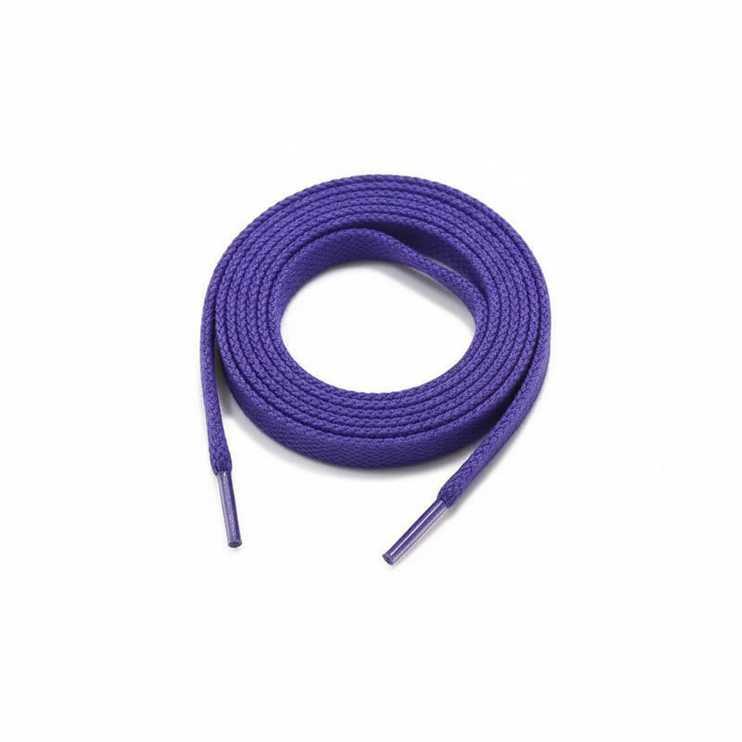 Paire de lacets violets