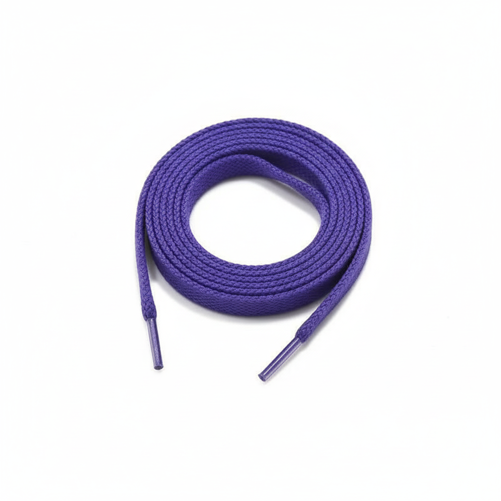 Paire de lacets violets