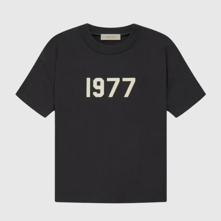 Ensemble FitsnDrip 1977